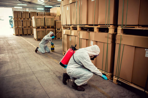 Best Pest Inspection Near Me  in Soquel, CA