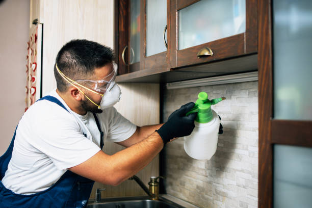 Best Ant Control Services  in Soquel, CA