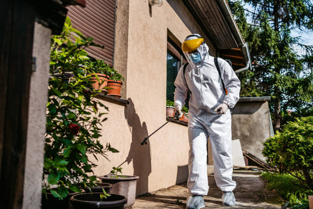 Best Bed Bug Extermination  in Soquel, CA