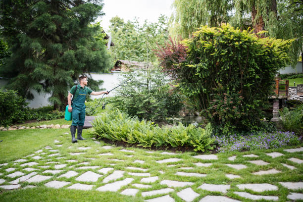 Best Commercial Pest Control Services  in Soquel, CA