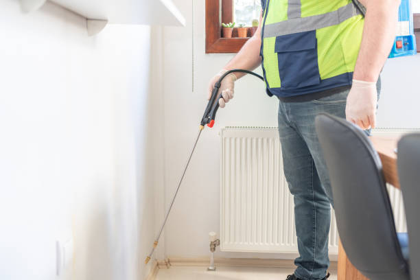 Best Local Pest Control Services  in Soquel, CA
