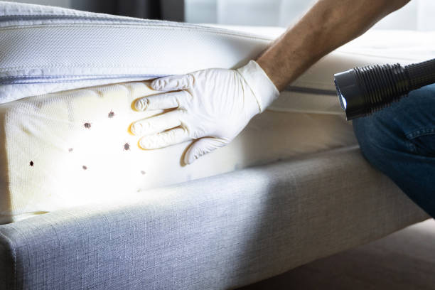 Best Best Pest Control Companies  in Soquel, CA
