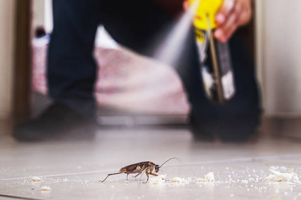 Best Best Pest Control Companies  in Soquel, CA