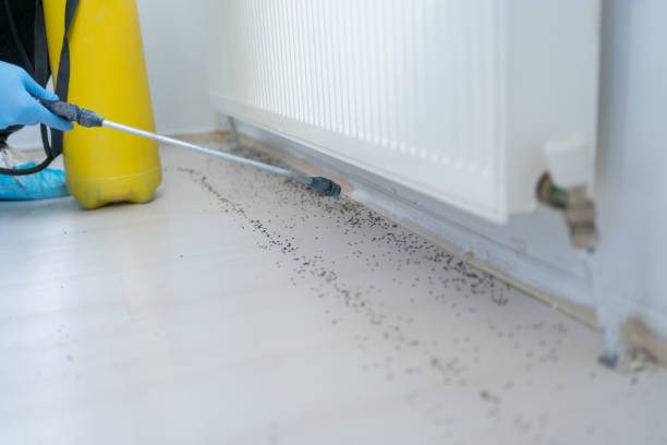 Best Mosquito Control Services  in Soquel, CA