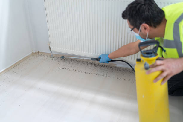 Best Wasp Removal Services  in Soquel, CA