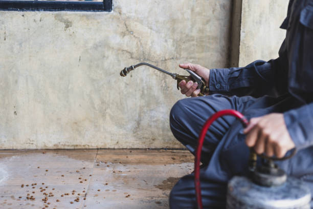 Best Pest Removal Services  in Soquel, CA
